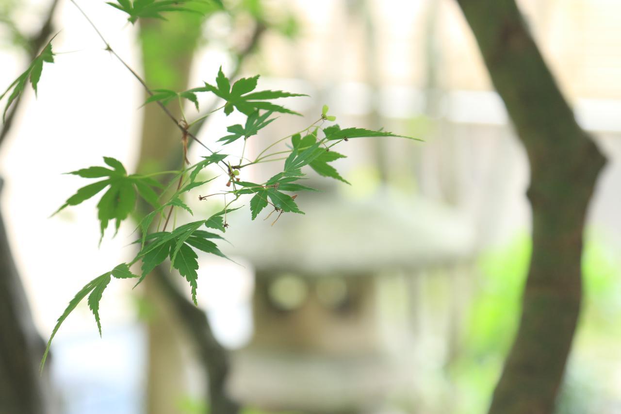 Okaya Ryokan Okitsu Экстерьер фото